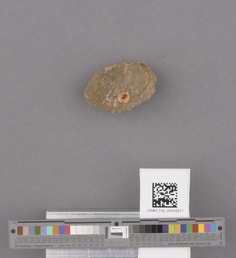 NSF ADBC EPICC TCN