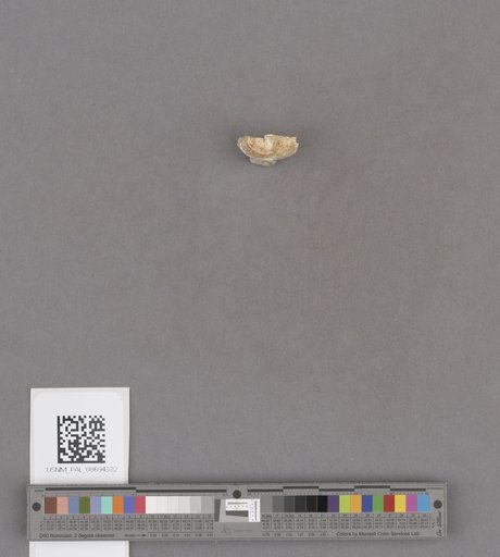 NSF ADBC EPICC TCN