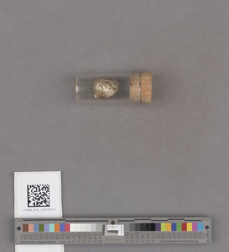 NSF ADBC EPICC TCN