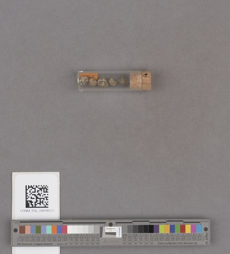 NSF ADBC EPICC TCN