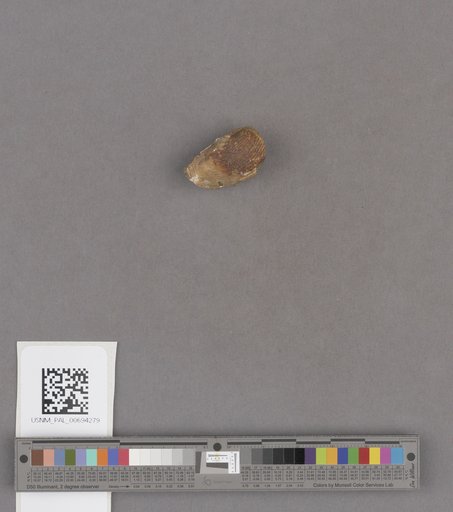 NSF ADBC EPICC TCN