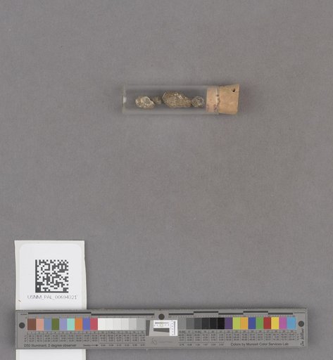 NSF ADBC EPICC TCN