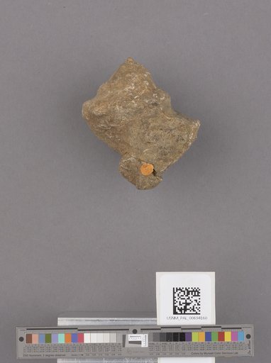 NSF ADBC EPICC TCN