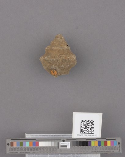 NSF ADBC EPICC TCN