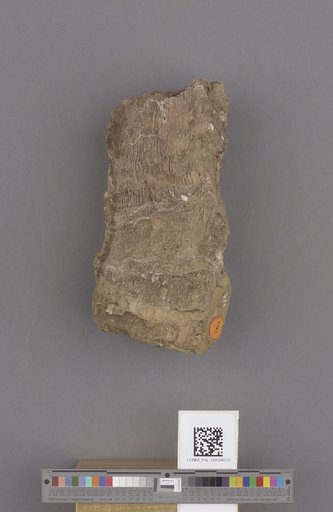 NSF ADBC EPICC TCN