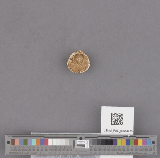 NSF ADBC EPICC TCN