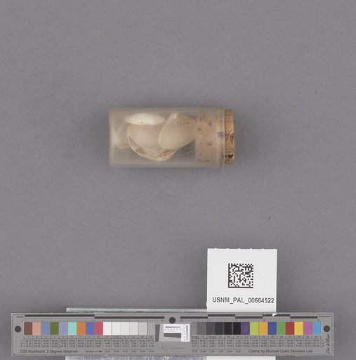 NSF ADBC EPICC TCN