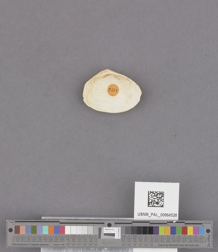 NSF ADBC EPICC TCN