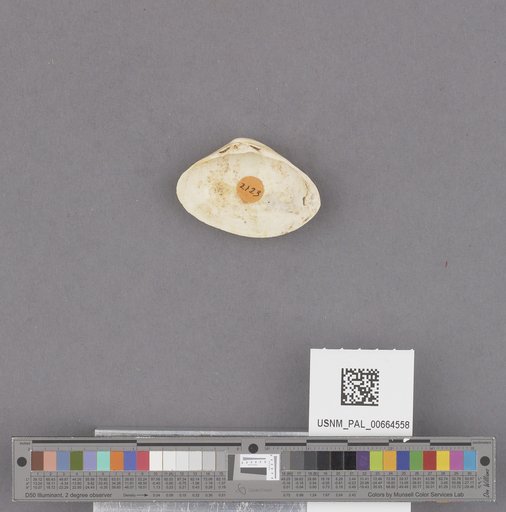 NSF ADBC EPICC TCN