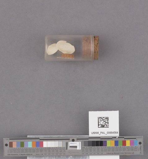 NSF ADBC EPICC TCN