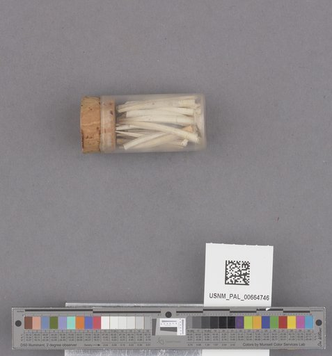 NSF ADBC EPICC TCN