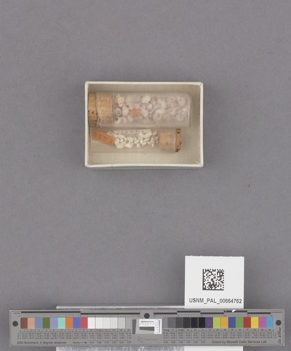 NSF ADBC EPICC TCN