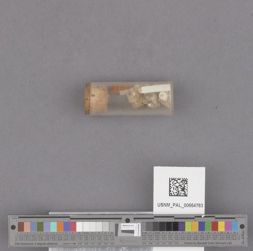 NSF ADBC EPICC TCN