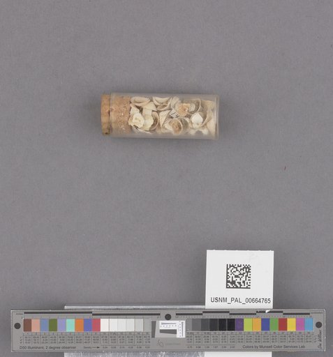 NSF ADBC EPICC TCN