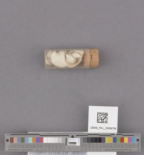 NSF ADBC EPICC TCN