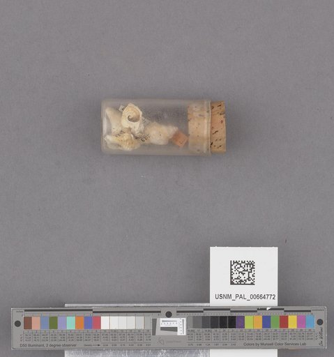 NSF ADBC EPICC TCN