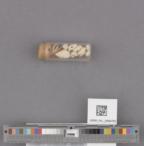 NSF ADBC EPICC TCN