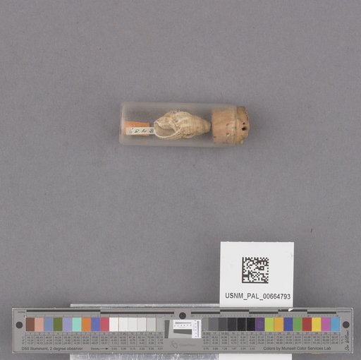 NSF ADBC EPICC TCN