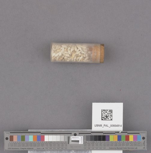 NSF ADBC EPICC TCN