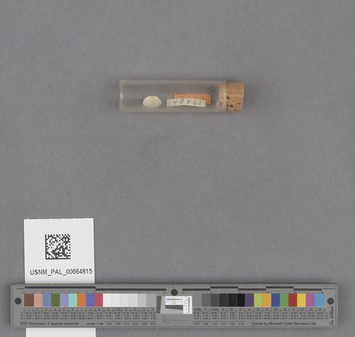 NSF ADBC EPICC TCN
