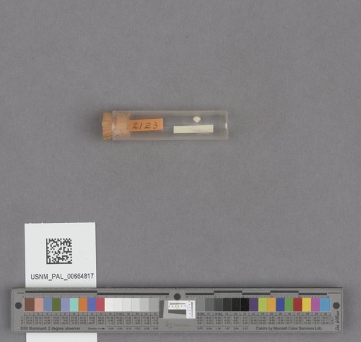 NSF ADBC EPICC TCN