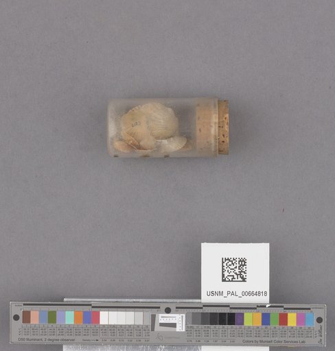 NSF ADBC EPICC TCN