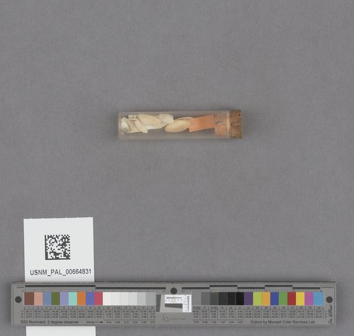 NSF ADBC EPICC TCN