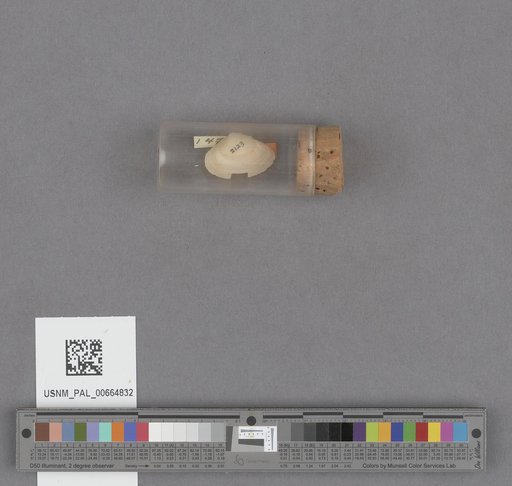 NSF ADBC EPICC TCN