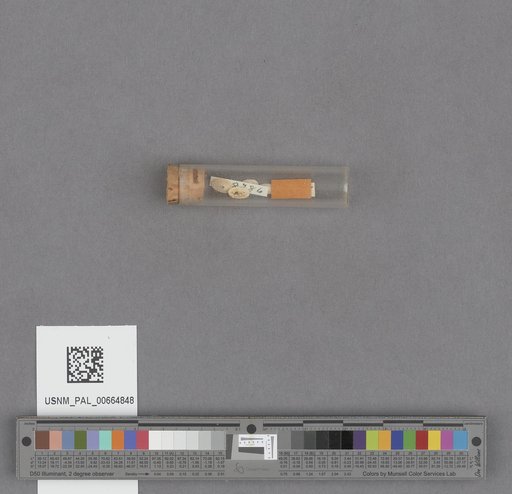 NSF ADBC EPICC TCN