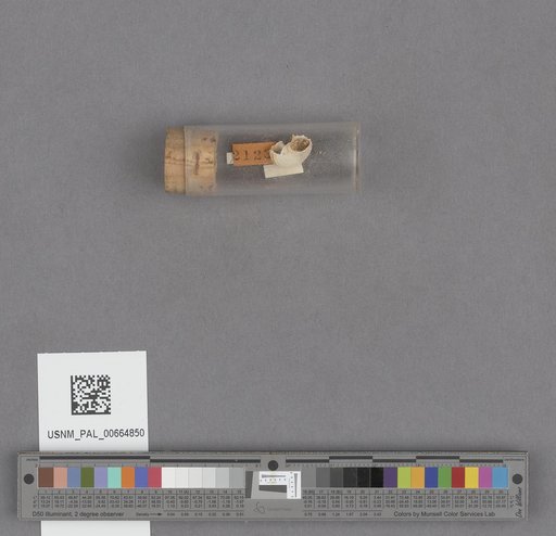 NSF ADBC EPICC TCN