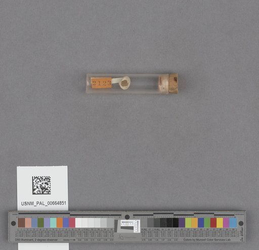 NSF ADBC EPICC TCN