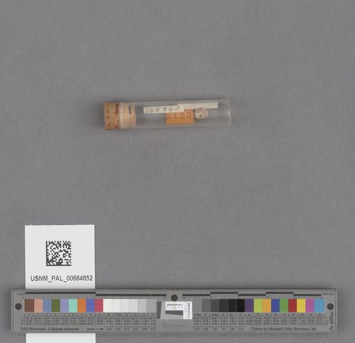 NSF ADBC EPICC TCN