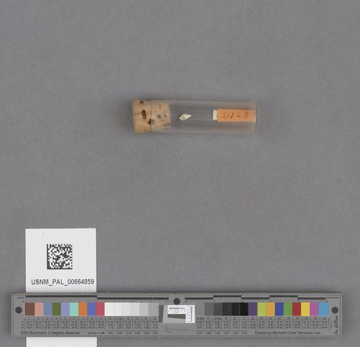NSF ADBC EPICC TCN