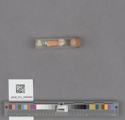NSF ADBC EPICC TCN