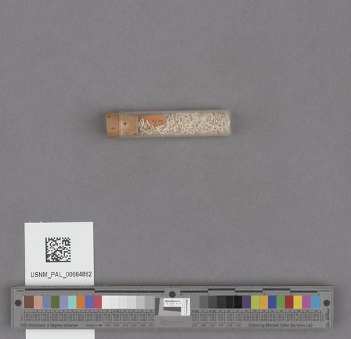 NSF ADBC EPICC TCN