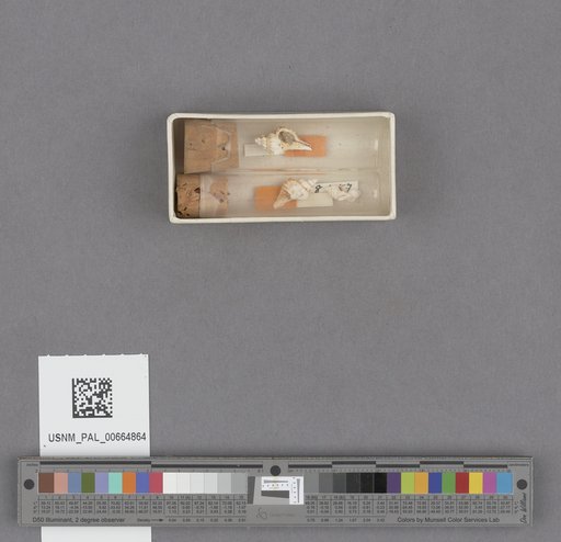 NSF ADBC EPICC TCN