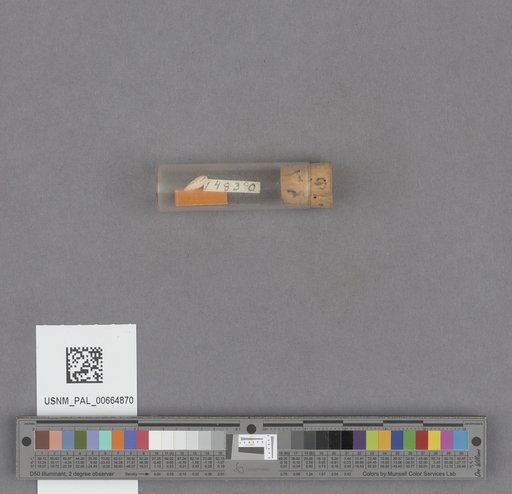 NSF ADBC EPICC TCN