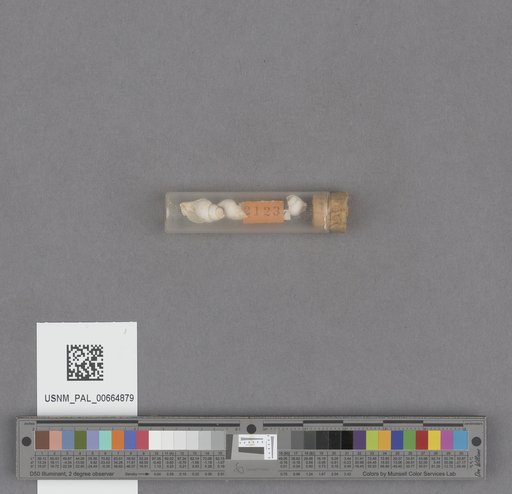 NSF ADBC EPICC TCN