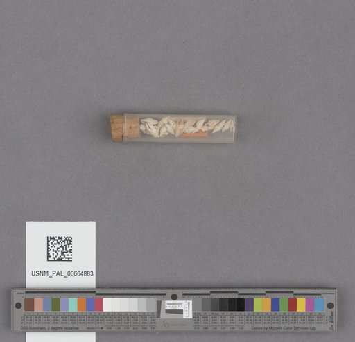 NSF ADBC EPICC TCN