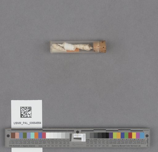 NSF ADBC EPICC TCN