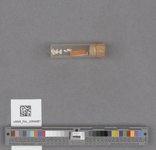 NSF ADBC EPICC TCN