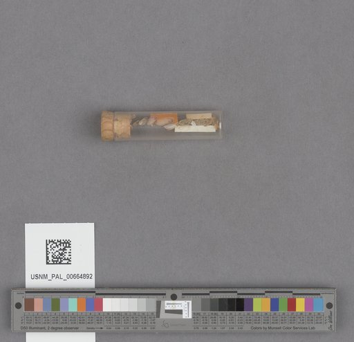NSF ADBC EPICC TCN