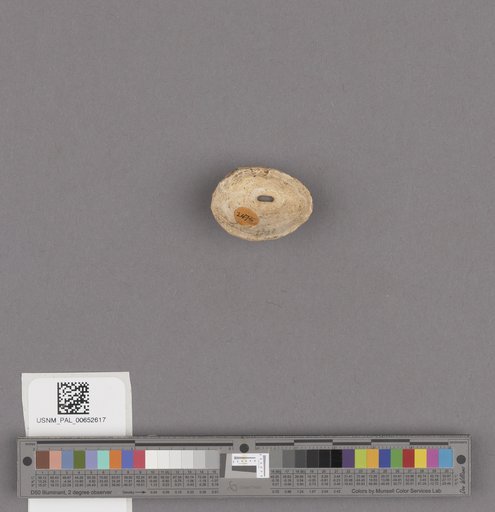 NSF ADBC EPICC TCN