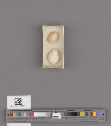 NSF ADBC EPICC TCN
