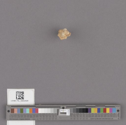 NSF ADBC EPICC TCN