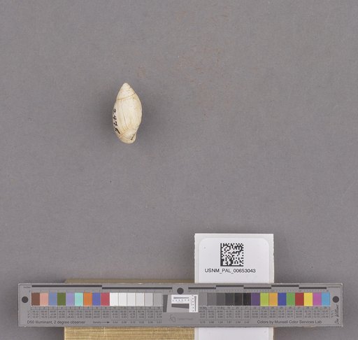 NSF ADBC EPICC TCN