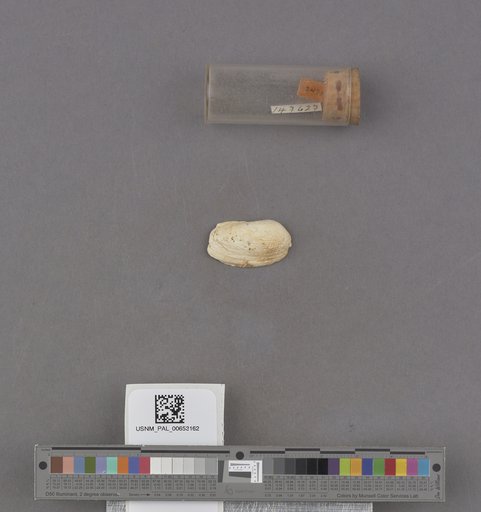 NSF ADBC EPICC TCN