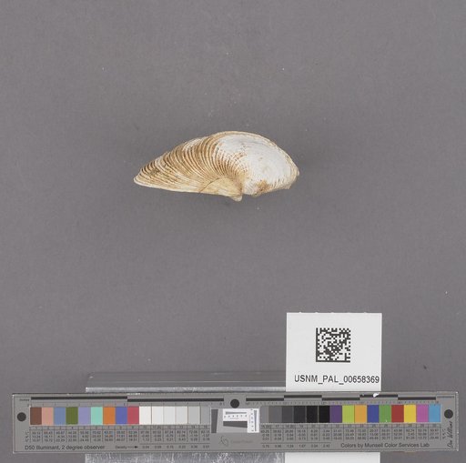 NSF ADBC EPICC TCN