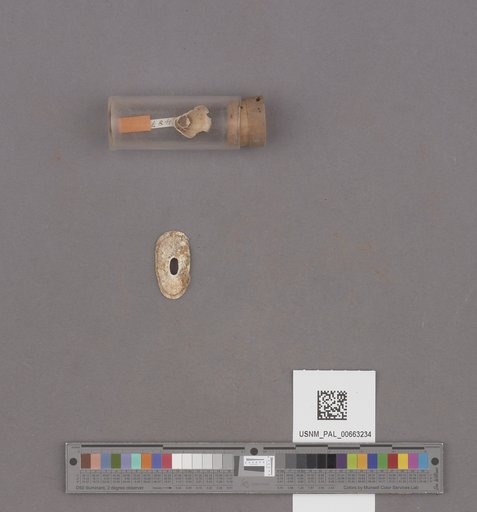 NSF ADBC EPICC TCN