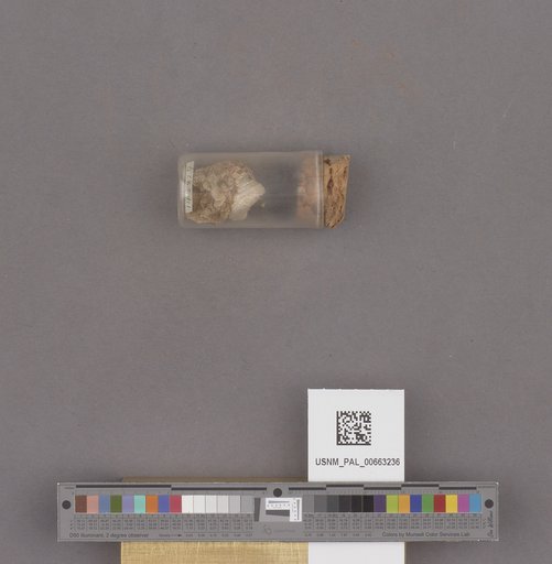 NSF ADBC EPICC TCN